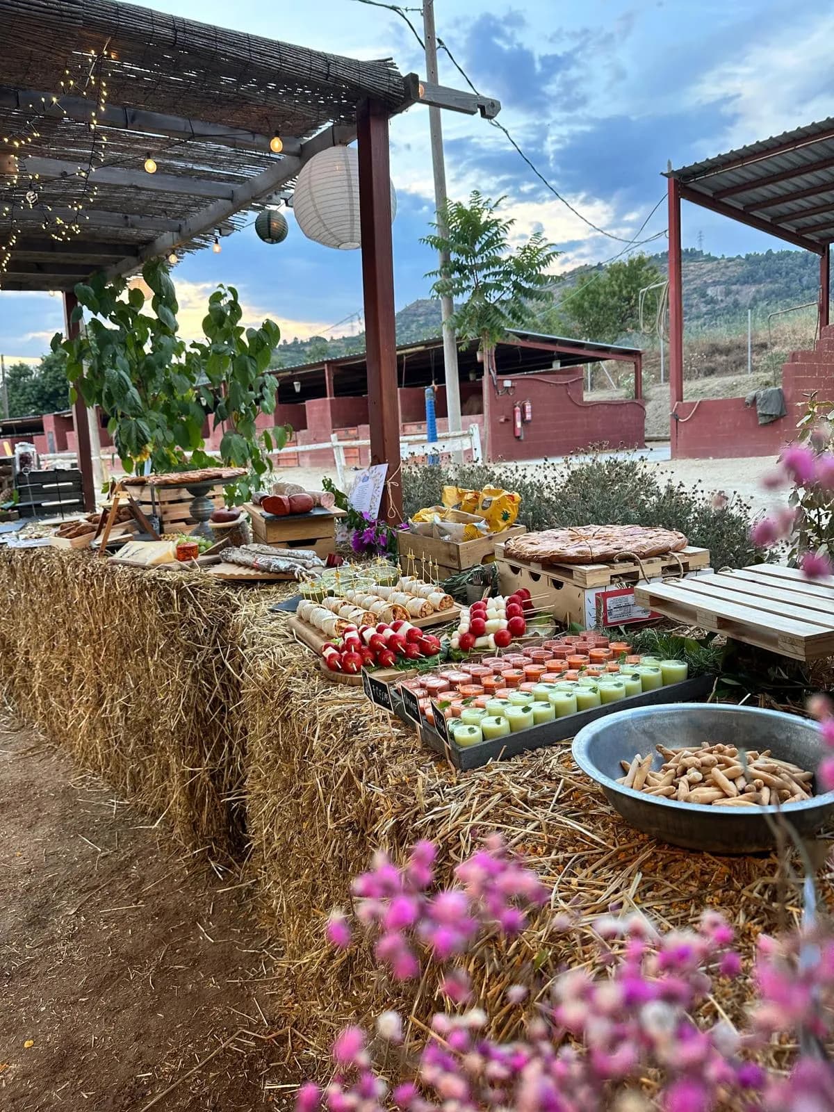 Buffet de pica-pica sobre bales de palla