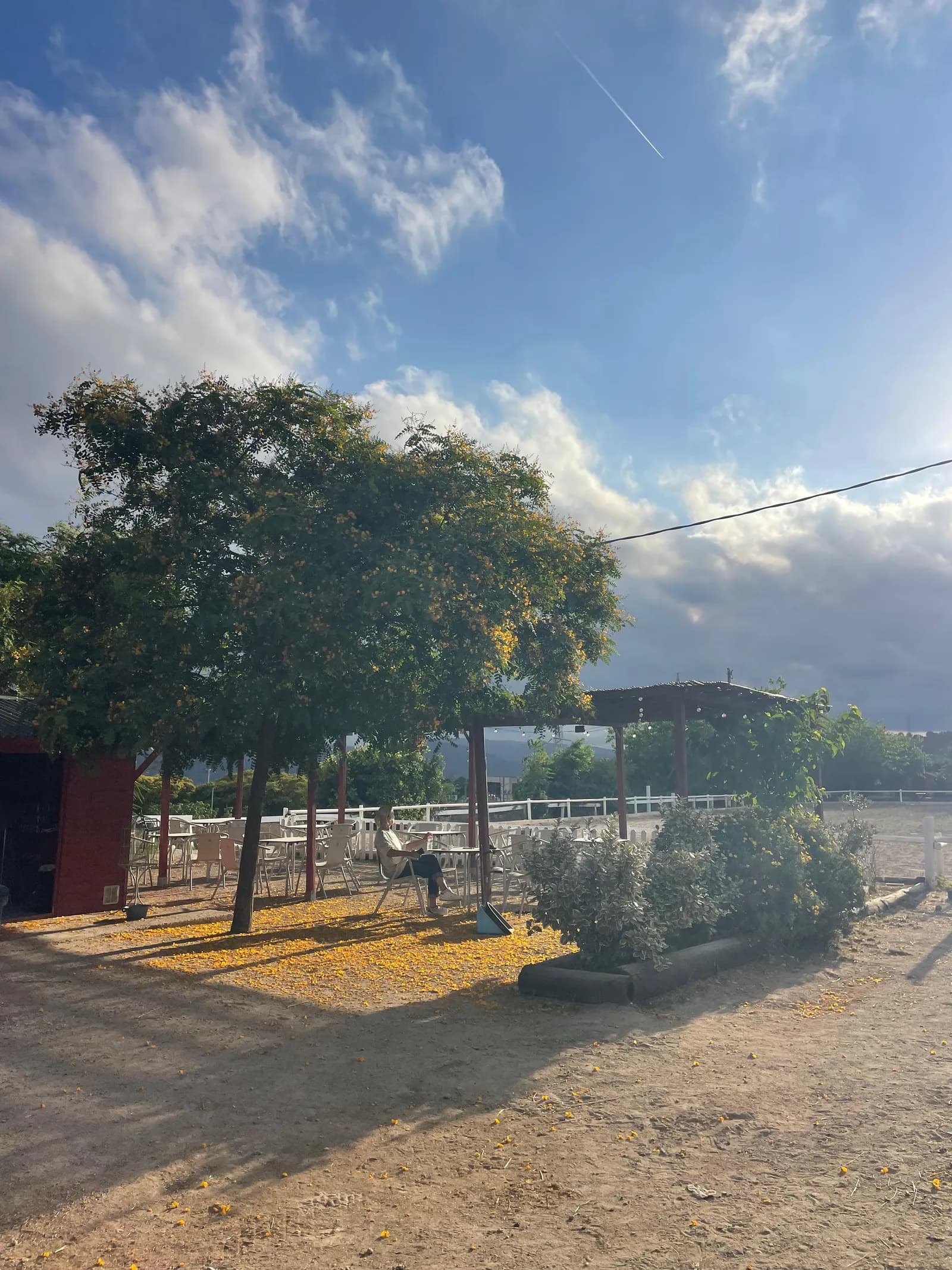 La pista i els arbres a la posta de sol
