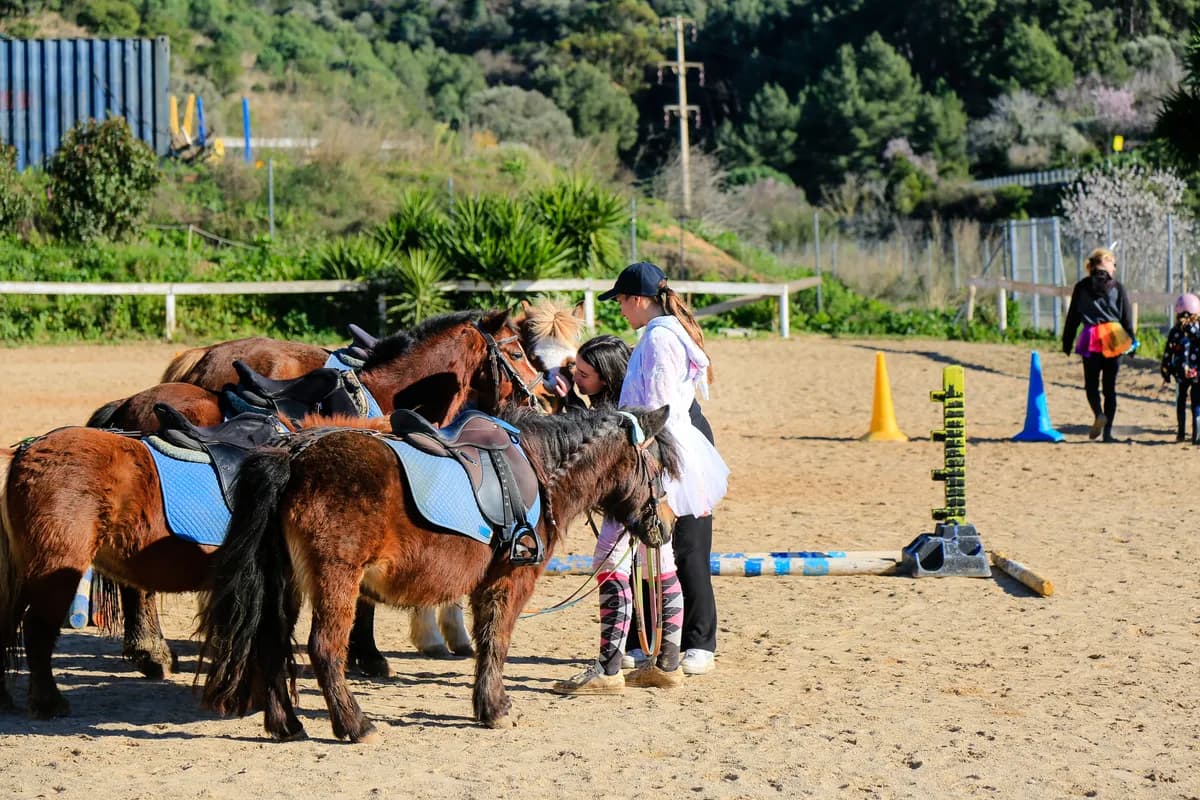 Ponis preparats a la pista per a una activitat de grup