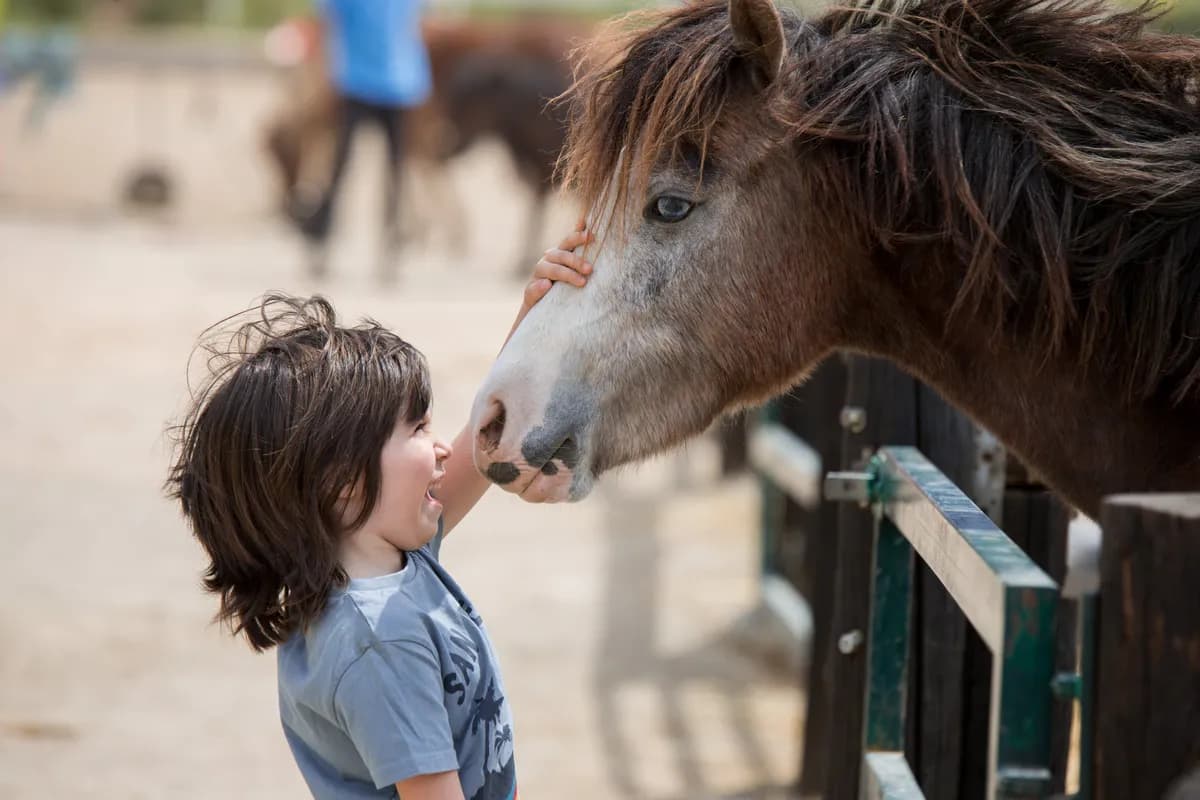 Nen fent un petó a un poni