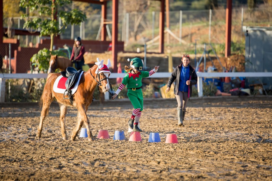 Activitats lúdiques amb ponis al casal